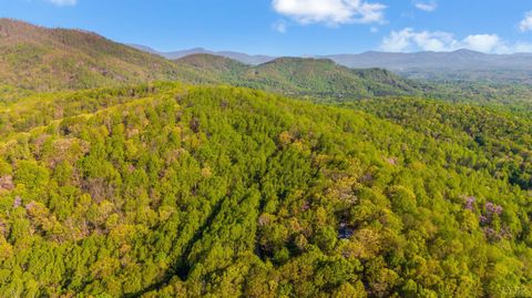 Tiny photo for 3882 Rocky Mountain Road, Forest, VA 24551 (MLS # 365927)