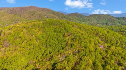 Tiny photo for 3882 Rocky Mountain Road, Forest, VA 24551 (MLS # 365927)