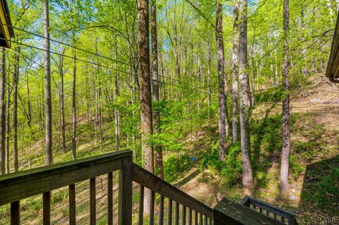 Tiny photo for 3882 Rocky Mountain Road, Forest, VA 24551 (MLS # 365927)