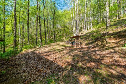 Tiny photo for 3882 Rocky Mountain Road, Forest, VA 24551 (MLS # 365927)