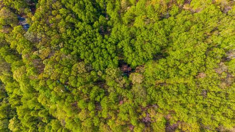 Tiny photo for 3882 Rocky Mountain Road, Forest, VA 24551 (MLS # 365927)