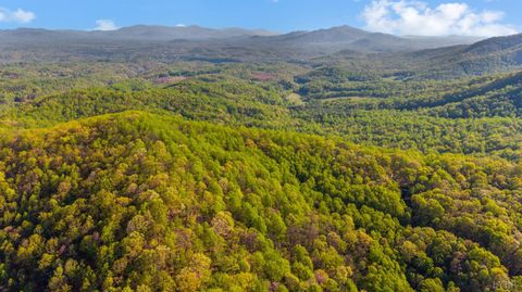 Tiny photo for 3882 Rocky Mountain Road, Forest, VA 24551 (MLS # 365927)