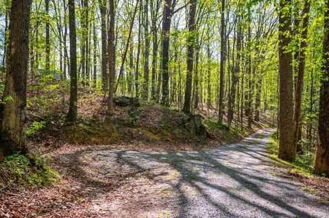 Tiny photo for 3882 Rocky Mountain Road, Forest, VA 24551 (MLS # 365927)
