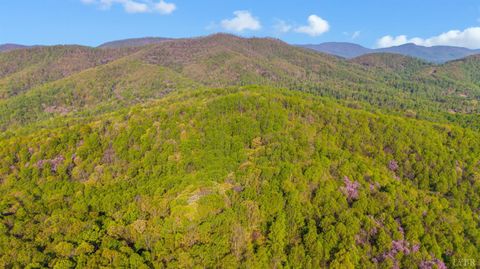 Tiny photo for 3882 Rocky Mountain Road, Forest, VA 24551 (MLS # 365927)