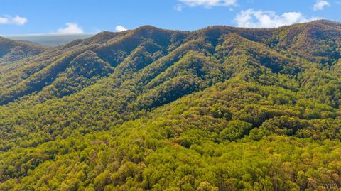 Tiny photo for 3882 Rocky Mountain Road, Forest, VA 24551 (MLS # 365927)