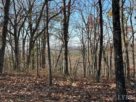Photo of 0 Kingswood Lane, Lynchburg, VA 24504 (MLS # 364450)