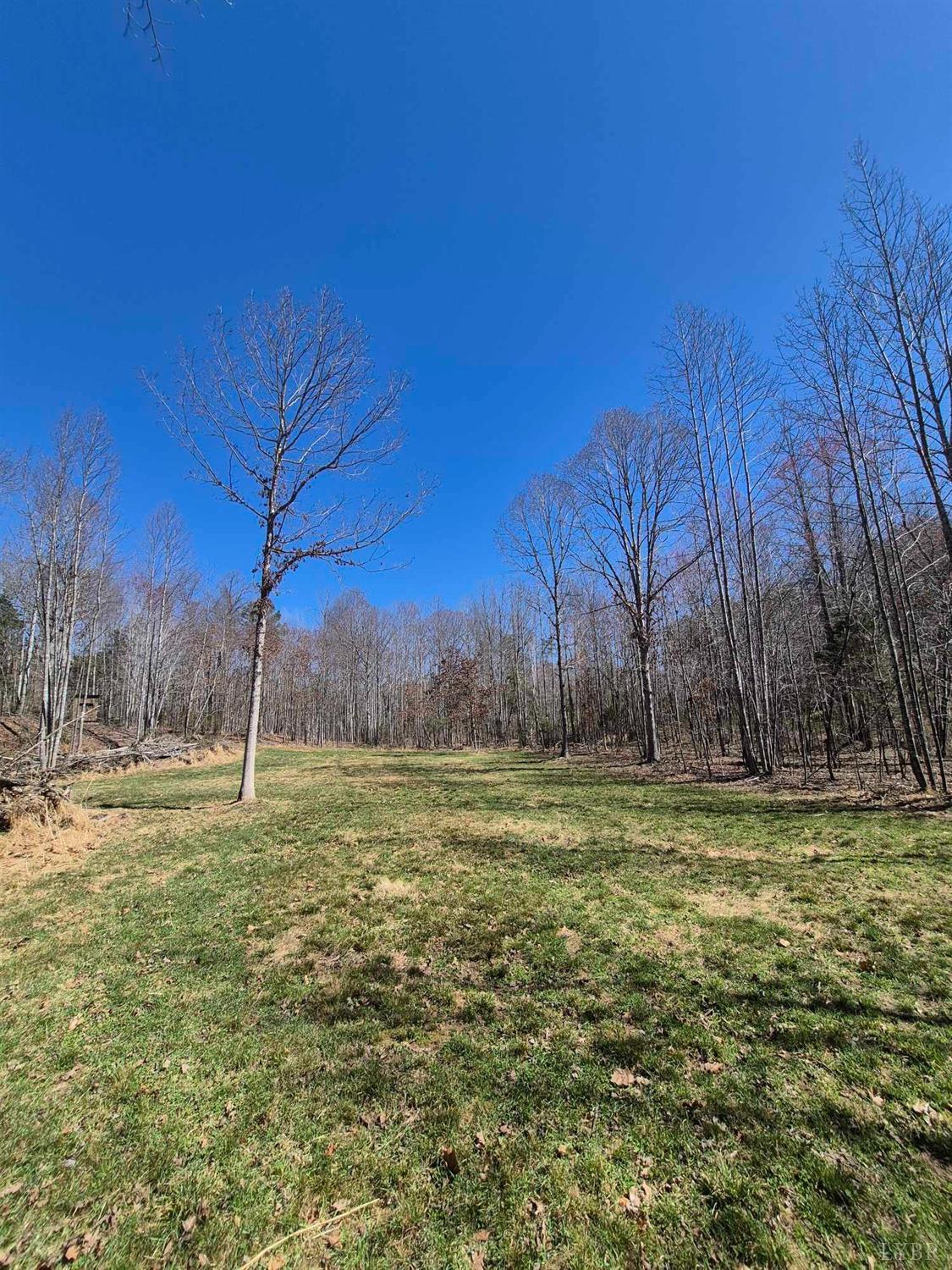 1045 Poor House Road, Rustburg, Virginia image 19