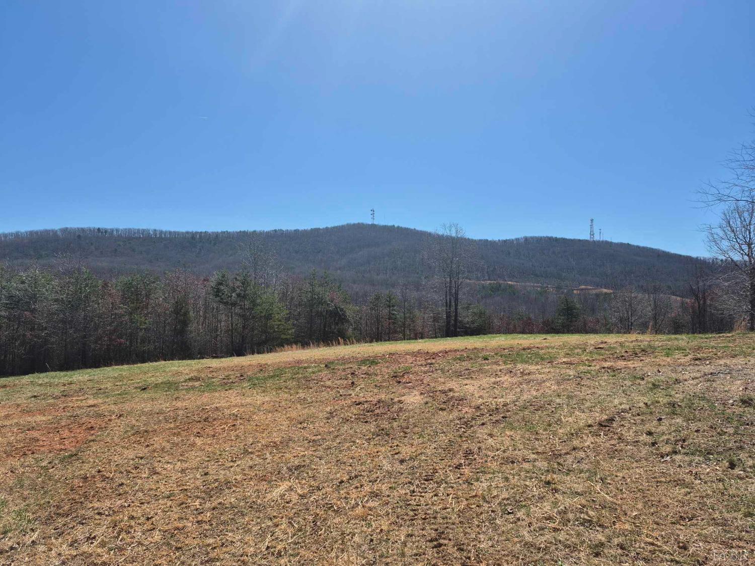 1045 Poor House Road, Rustburg, Virginia image 3