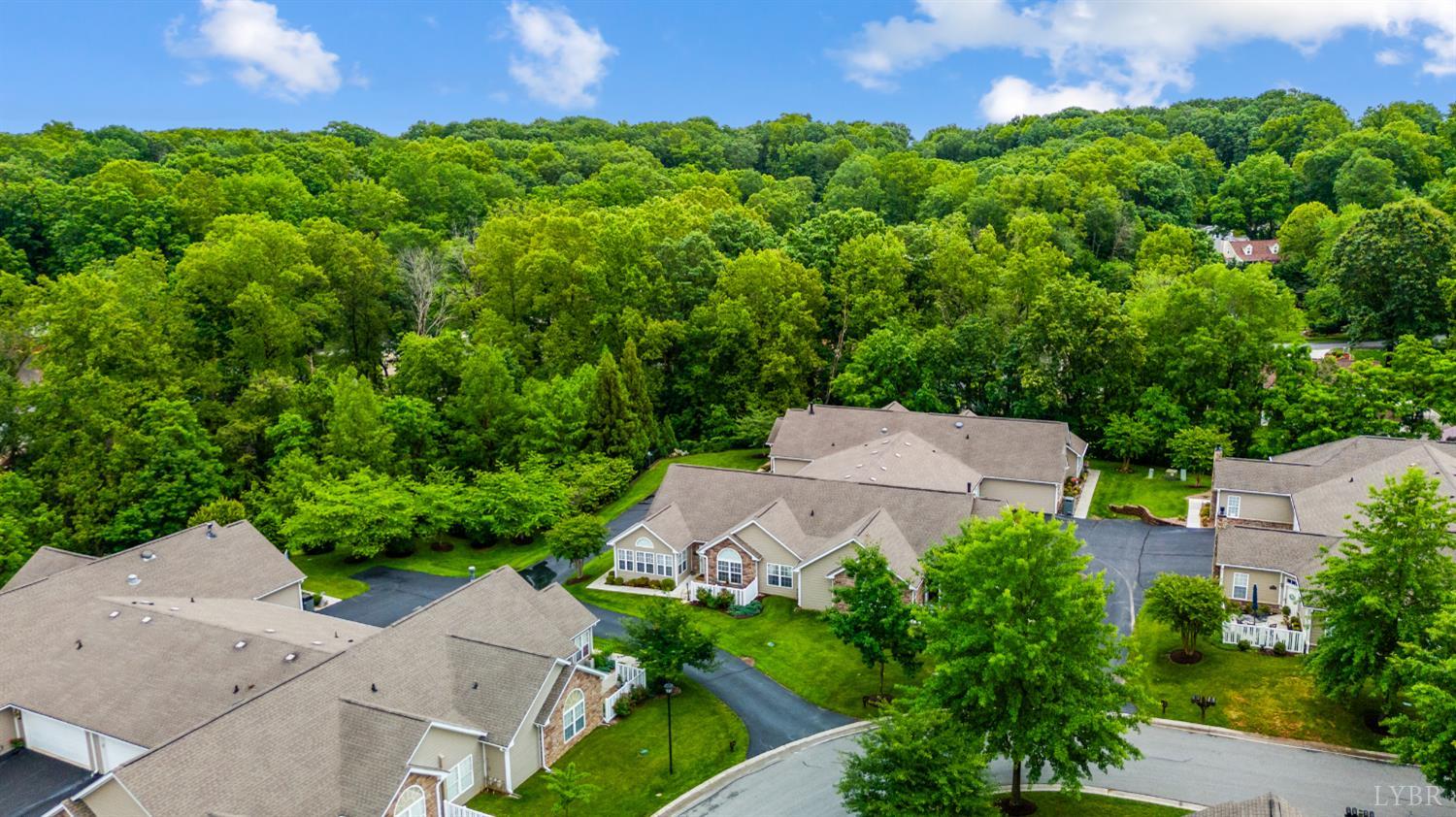 1183 Jefferson Way, Forest, Virginia image 31