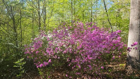 Tiny photo for 1308 Simpkins Lake Road, Bedford, VA 24523 (MLS # 366040)