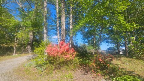 Tiny photo for 1308 Simpkins Lake Road, Bedford, VA 24523 (MLS # 366040)