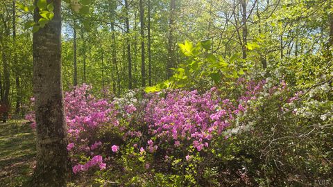 Tiny photo for 1308 Simpkins Lake Road, Bedford, VA 24523 (MLS # 366040)