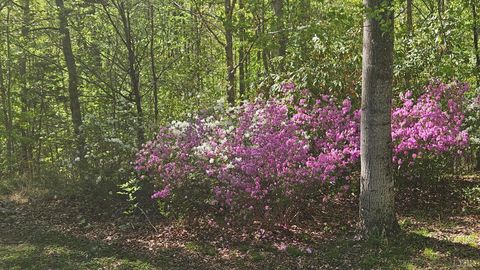 Tiny photo for 1308 Simpkins Lake Road, Bedford, VA 24523 (MLS # 366040)