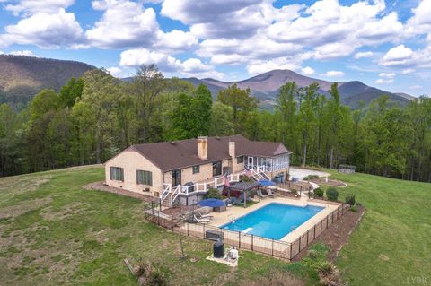 Tiny photo for 355 Dyson Road, Amherst, VA 24521 (MLS # 365910)