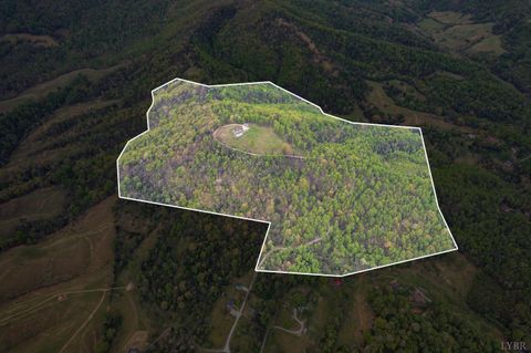 Tiny photo for 355 Dyson Road, Amherst, VA 24521 (MLS # 365910)