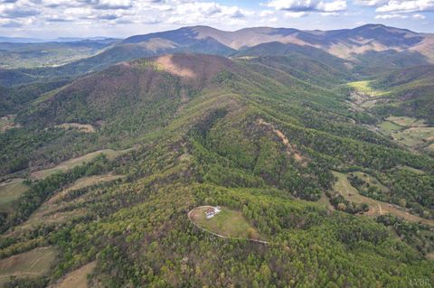 Tiny photo for 355 Dyson Road, Amherst, VA 24521 (MLS # 365910)