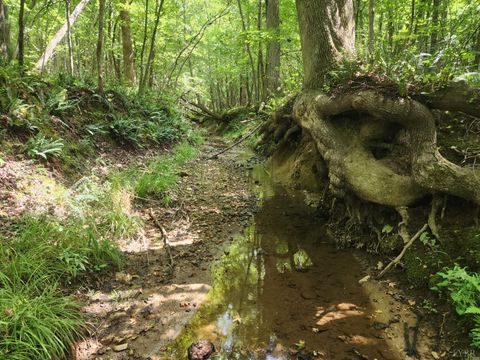 Tiny photo for 0 Red House Road, Appomattox, VA 24522 (MLS # 361638)