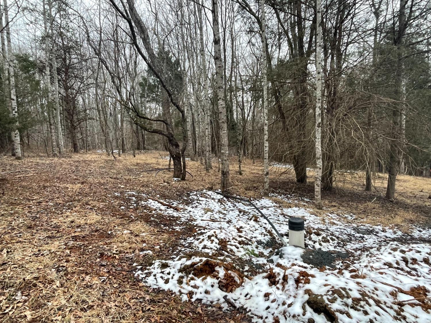 Huntington Drive, Bedford, Virginia image 9