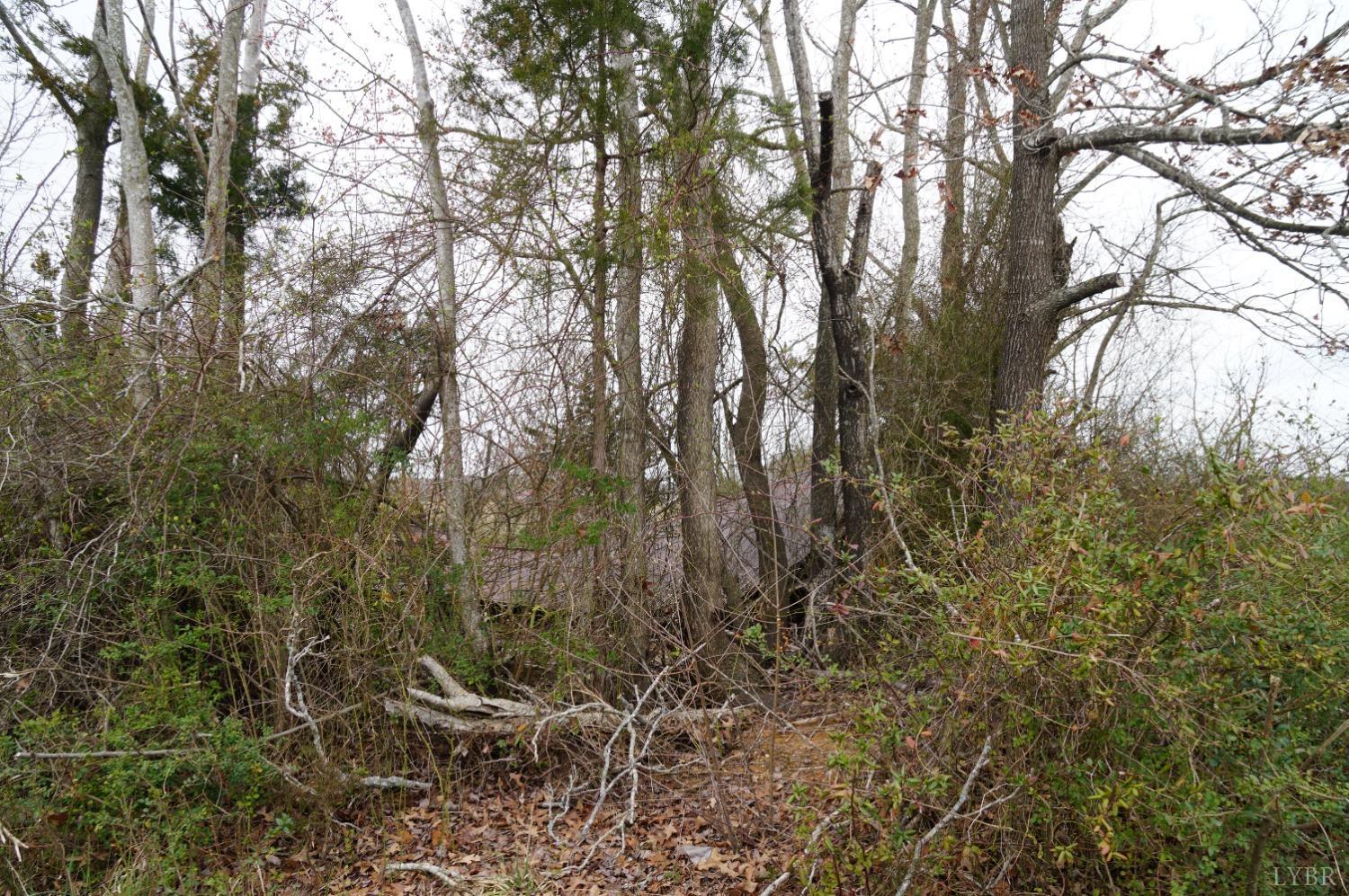 1225 Tobacco Road, Nathalie, Virginia image 1