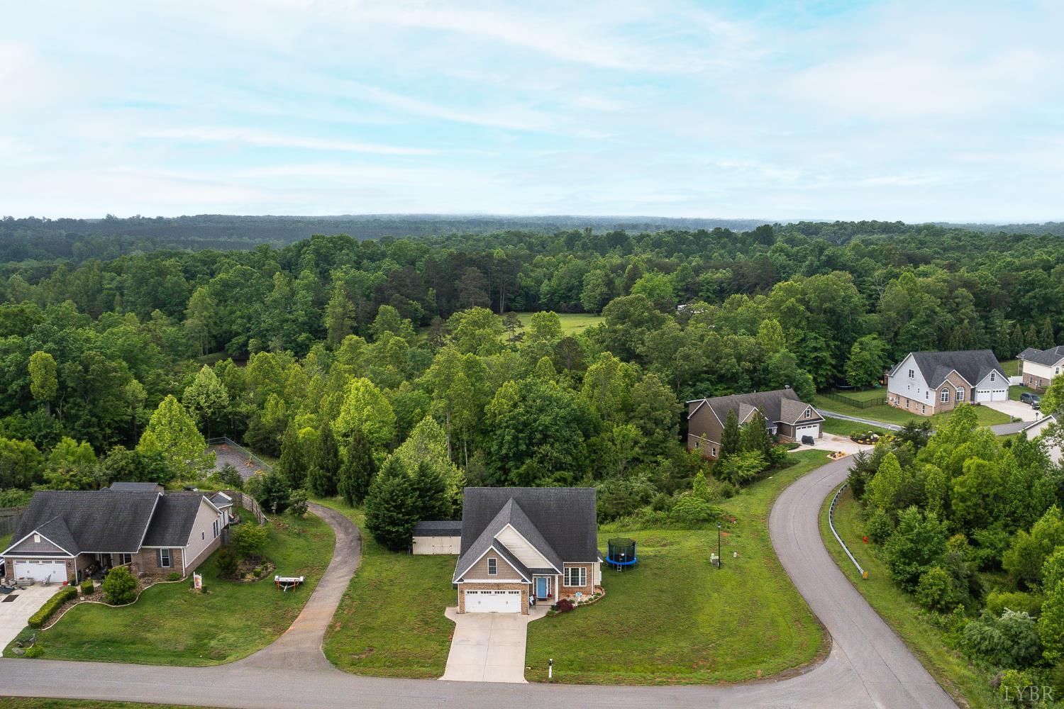 314 Cooper Way Way, Evington, Virginia image 4