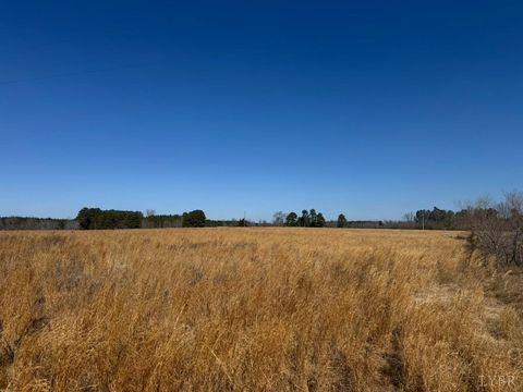 Tiny photo for 0 Great Oak Rd Road, Dolphin, VA 23843 (MLS # 362378)