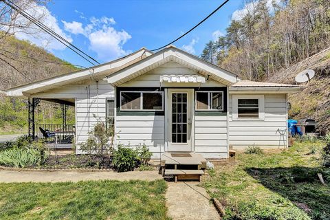 Tiny photo for 5215 Kanawha Trail, Covington, VA 24426 (MLS # 366157)