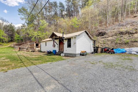 Tiny photo for 5215 Kanawha Trail, Covington, VA 24426 (MLS # 366157)
