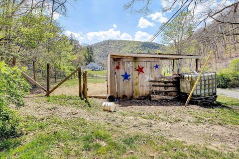 Tiny photo for 5215 Kanawha Trail, Covington, VA 24426 (MLS # 366157)