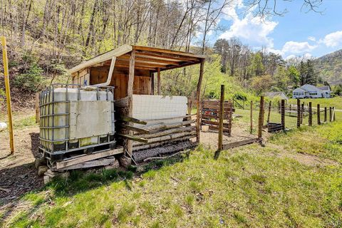 Tiny photo for 5215 Kanawha Trail, Covington, VA 24426 (MLS # 366157)