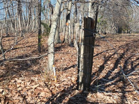 Tiny photo for 3901 Midland Rd Rd, Wingina, VA 24599 (MLS # 364657)