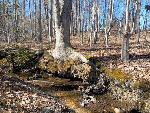 Tiny photo for 3901 Midland Rd Rd, Wingina, VA 24599 (MLS # 364657)