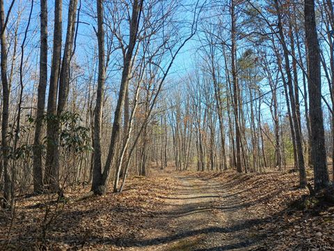 Tiny photo for 3901 Midland Rd Rd, Wingina, VA 24599 (MLS # 364657)