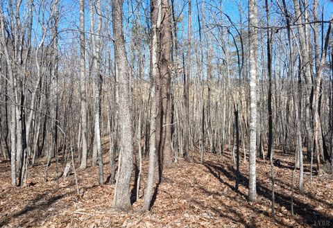 Tiny photo for 3901 Midland Rd Rd, Wingina, VA 24599 (MLS # 364657)