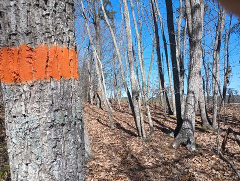 Tiny photo for 3901 Midland Rd Rd, Wingina, VA 24599 (MLS # 364657)