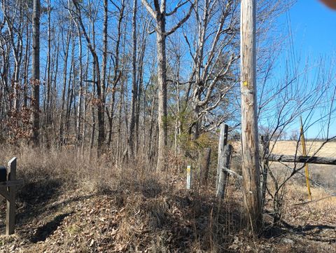 Tiny photo for 3901 Midland Rd Rd, Wingina, VA 24599 (MLS # 364657)