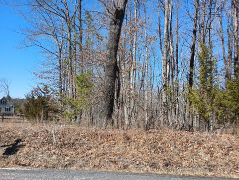 Tiny photo for 3901 Midland Rd Rd, Wingina, VA 24599 (MLS # 364657)