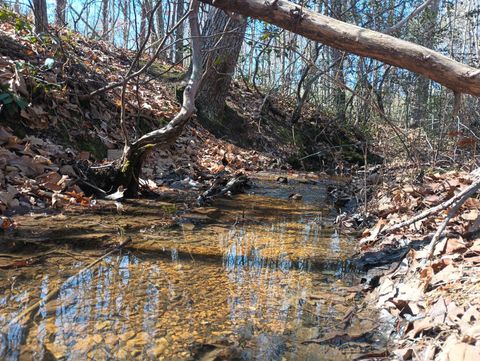 Tiny photo for 3901 Midland Rd Rd, Wingina, VA 24599 (MLS # 364657)