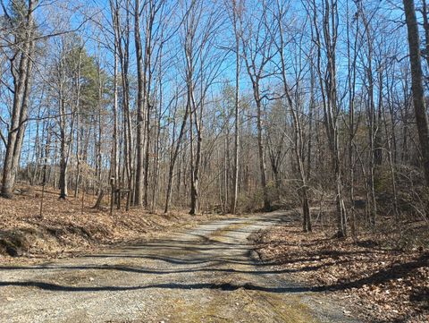 Tiny photo for 3901 Midland Rd Rd, Wingina, VA 24599 (MLS # 364657)