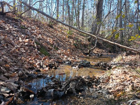 Tiny photo for 3901 Midland Rd Rd, Wingina, VA 24599 (MLS # 364657)