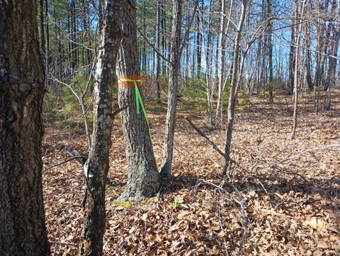 Tiny photo for 3901 Midland Rd Rd, Wingina, VA 24599 (MLS # 364657)