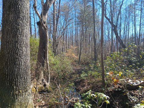 Tiny photo for 3901 Midland Rd Rd, Wingina, VA 24599 (MLS # 364657)