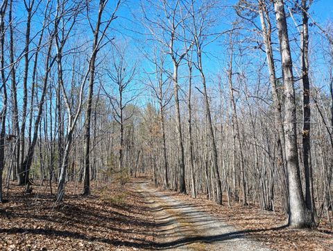 Tiny photo for 3901 Midland Rd Rd, Wingina, VA 24599 (MLS # 364657)