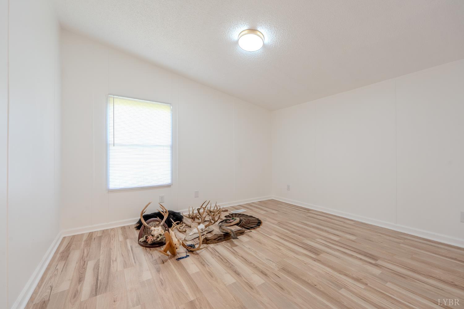 1915 Elon Rd Rd, Madison Heights, Virginia image 37
