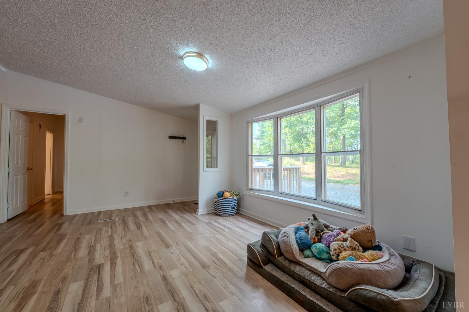 1915 Elon Rd Rd, Madison Heights, Virginia image 23