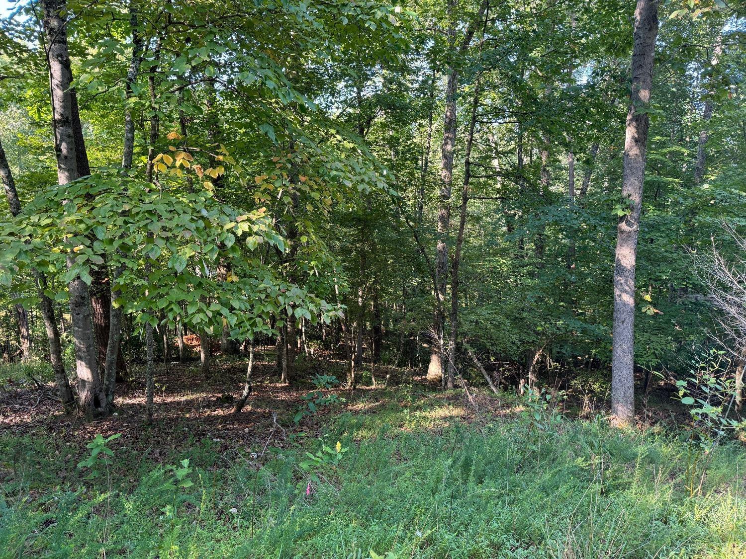 2 Cedar Bluff, Hardy, Virginia image 2