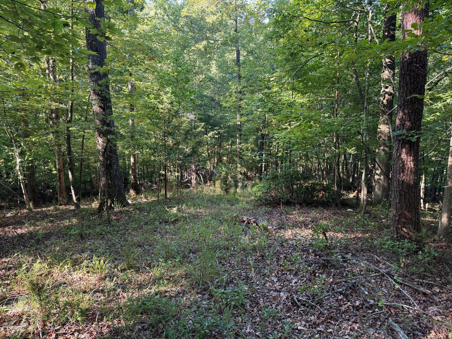 2 Cedar Bluff, Hardy, Virginia image 1