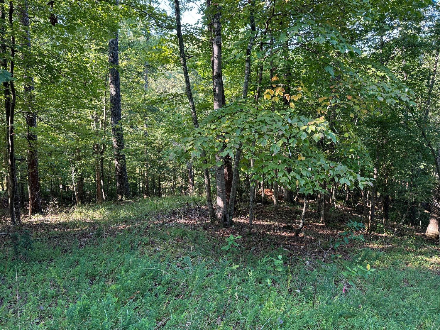 2 Cedar Bluff, Hardy, Virginia image 3