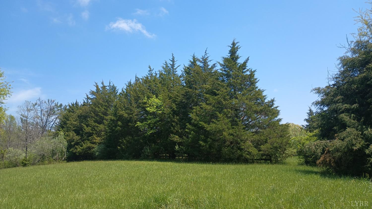 983 Williamstown Road, Shipman, Virginia image 42