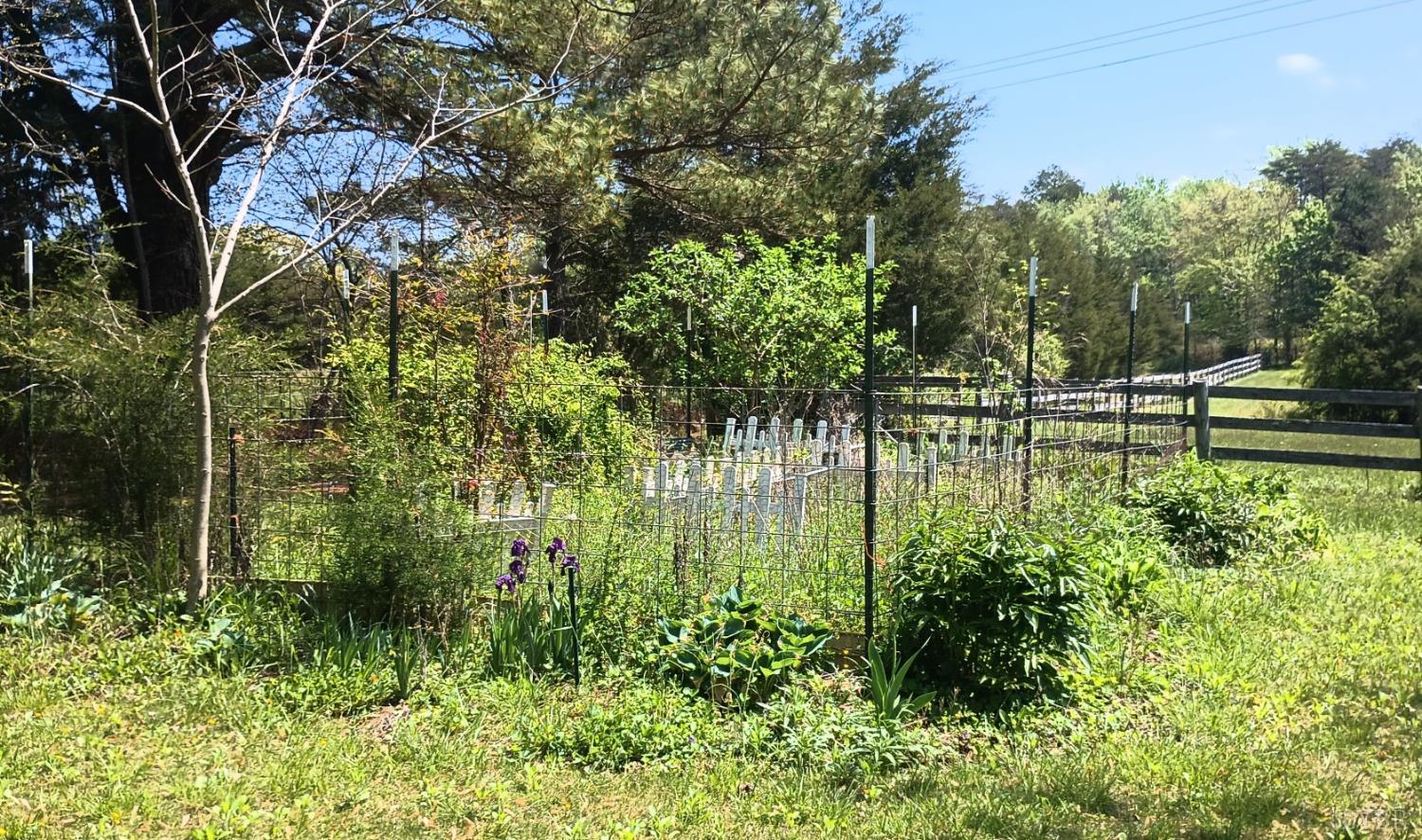 983 Williamstown Road, Shipman, Virginia image 33
