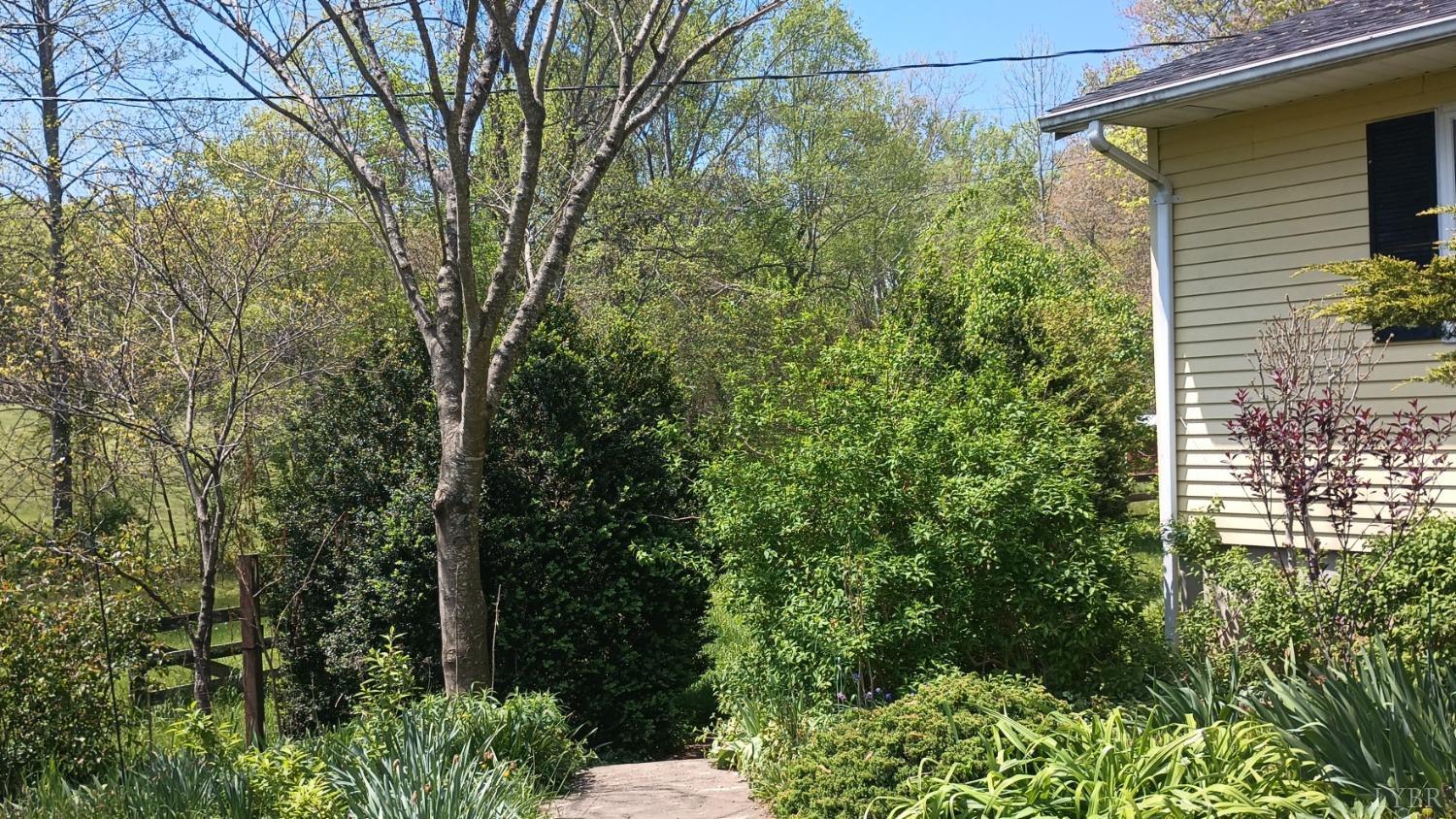 983 Williamstown Road, Shipman, Virginia image 4